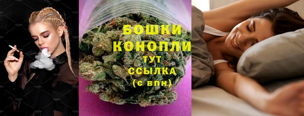 ешки Аркадак