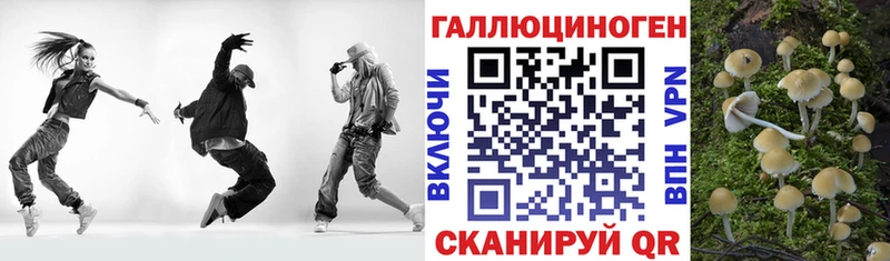 Галлюциногенные грибы Psilocybine cubensis  Фёдоровский 