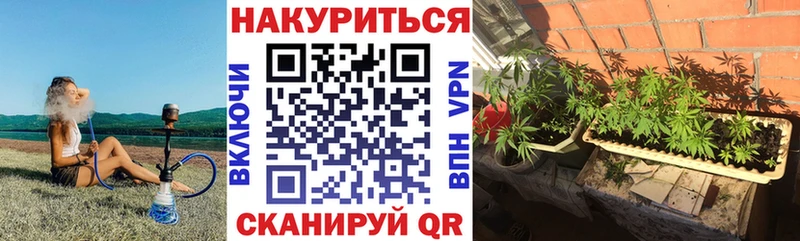 кракен сайт  Фёдоровский  Канабис тримм 